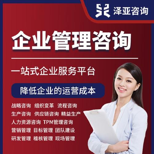 财务管理咨询与信息咨询服务 赋能企业稳健发展的双引擎